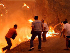 Пожар в Греции. Фото EPA, AFP