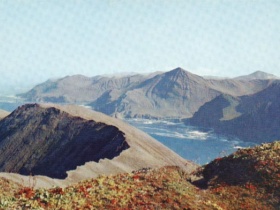 Командорские остовова. Фото:  kamchatka-net.narod.ru