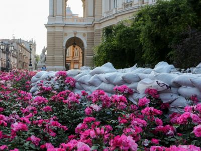 Мешки с песком среди цветущих роз у Одесского театра оперы и балета. Фото: Viacheslav Onyshchenko / SOPA Images
