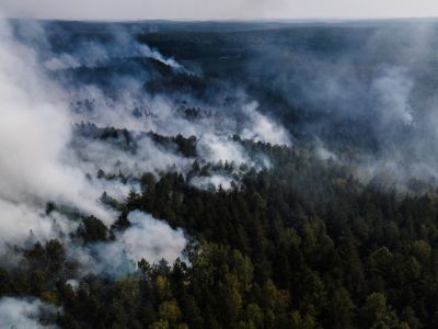 Свердловская область